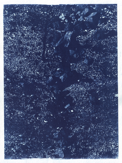 Cyanotype_Sans titre_2017_MG_7265.jpg en taille normale